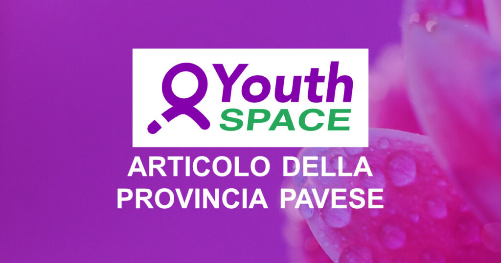 Articolo della Provincai